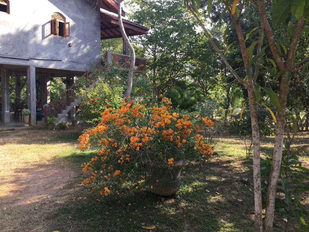 Tranquality Chalets 탕갈레 외부 사진